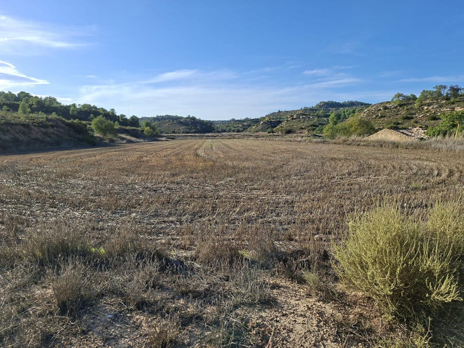 Finca en Venta en Maella