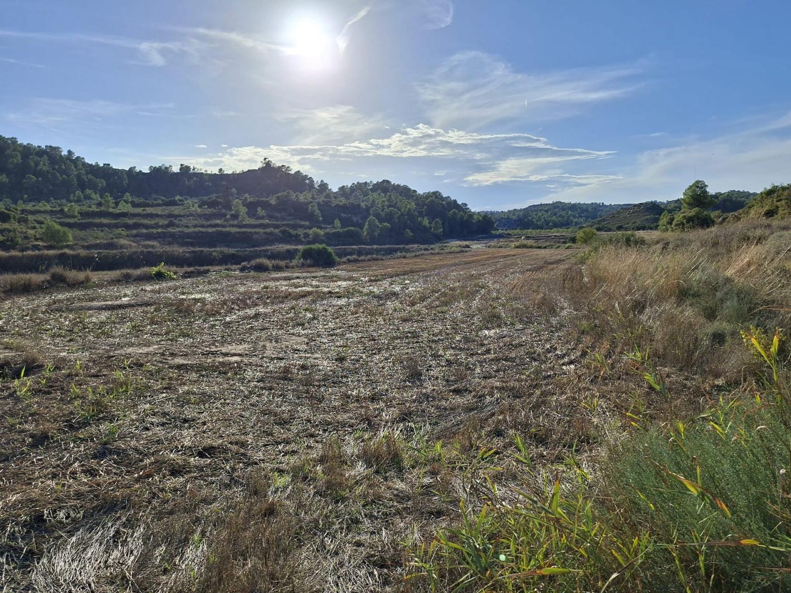 Finca en Venta en Maella