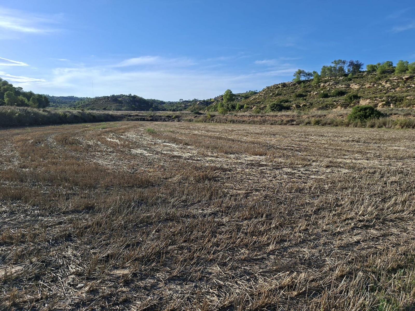 Finca en Venta en Maella