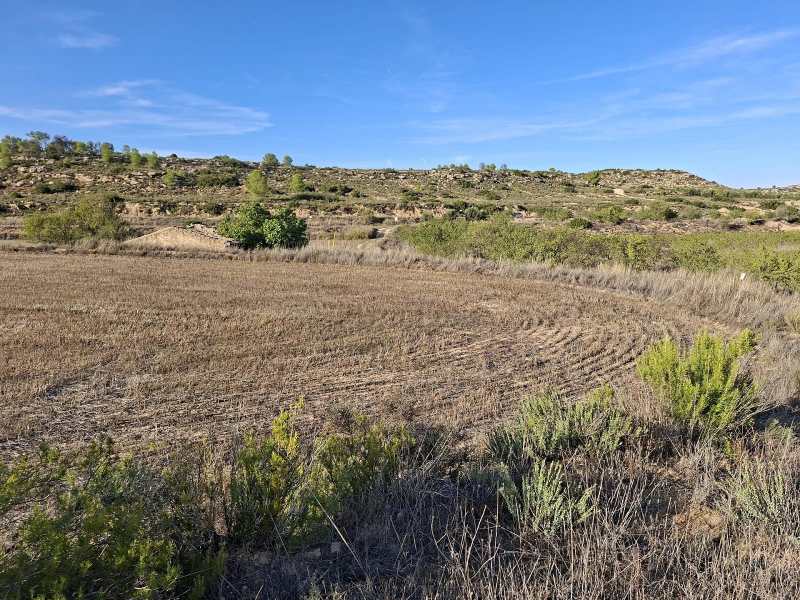 Finca en Venta en Maella