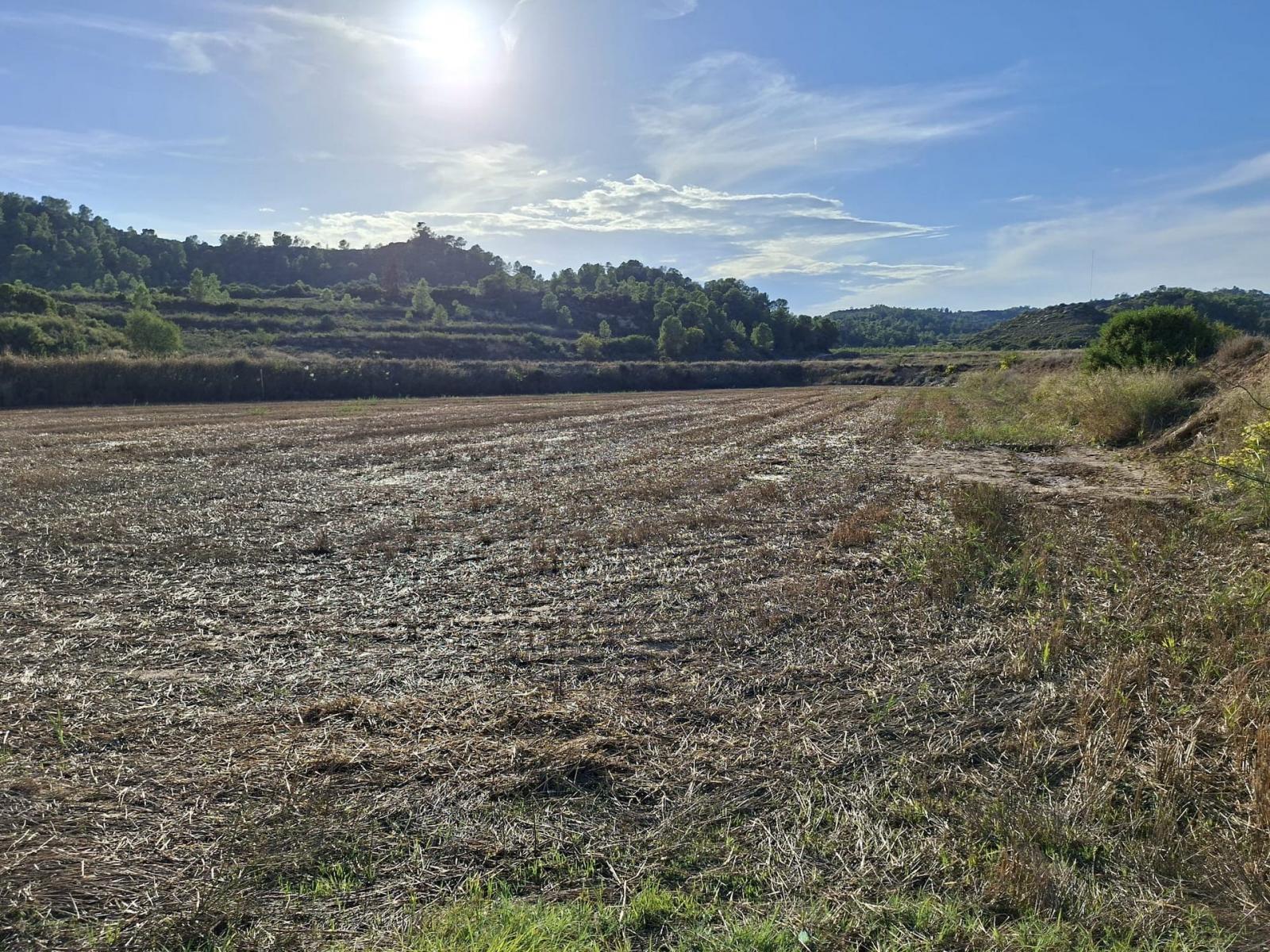 Finca en Venta en Maella