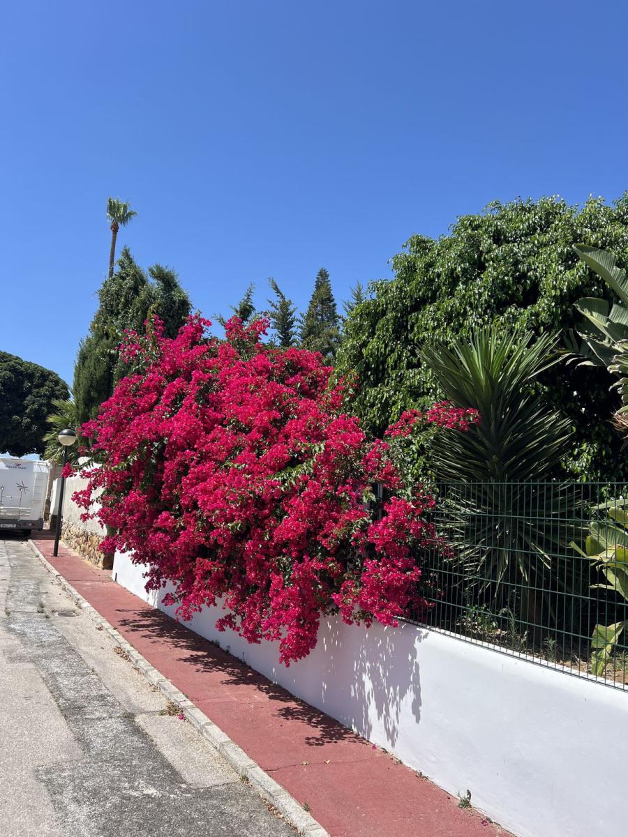 Villa for Sale in Manilva