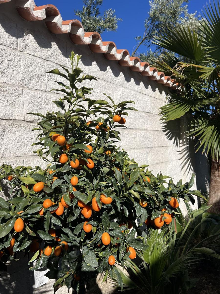 Villa for Sale in Manilva