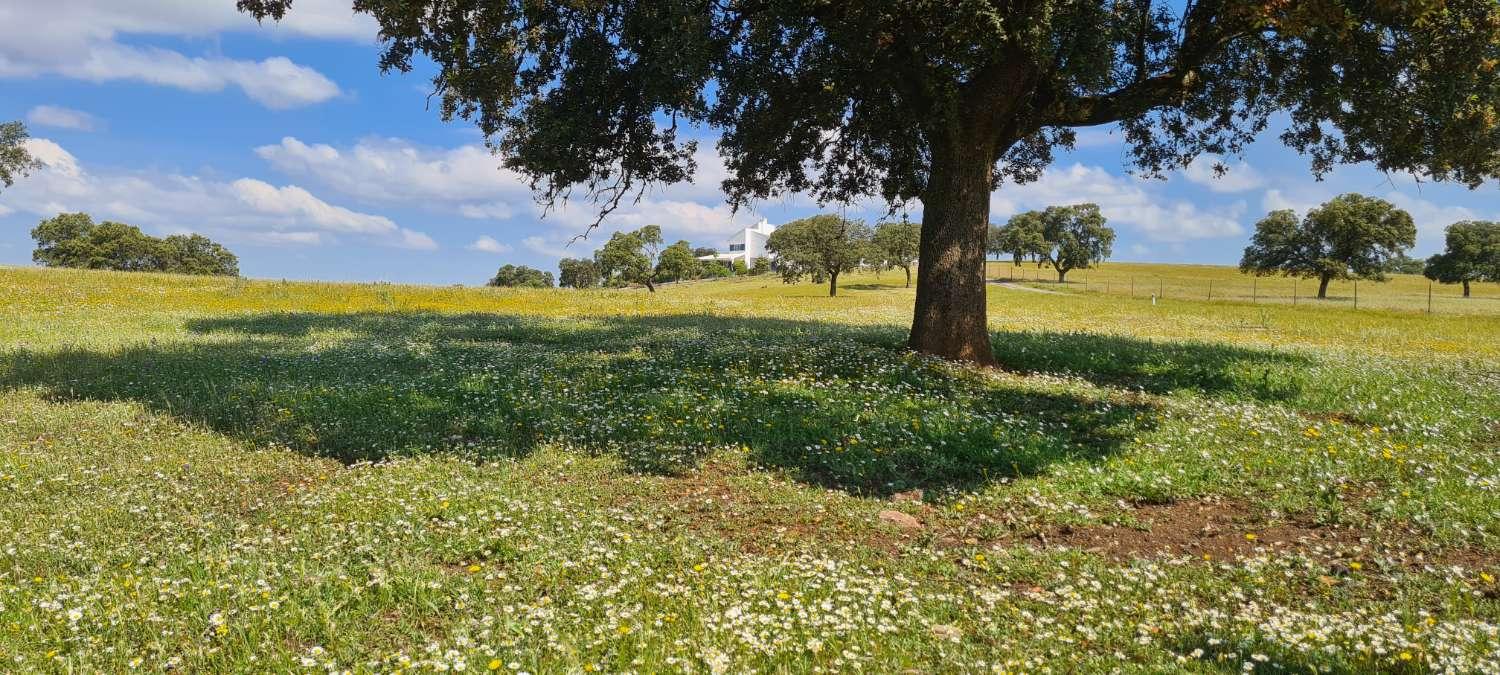 Finca en Venta en La Carolina