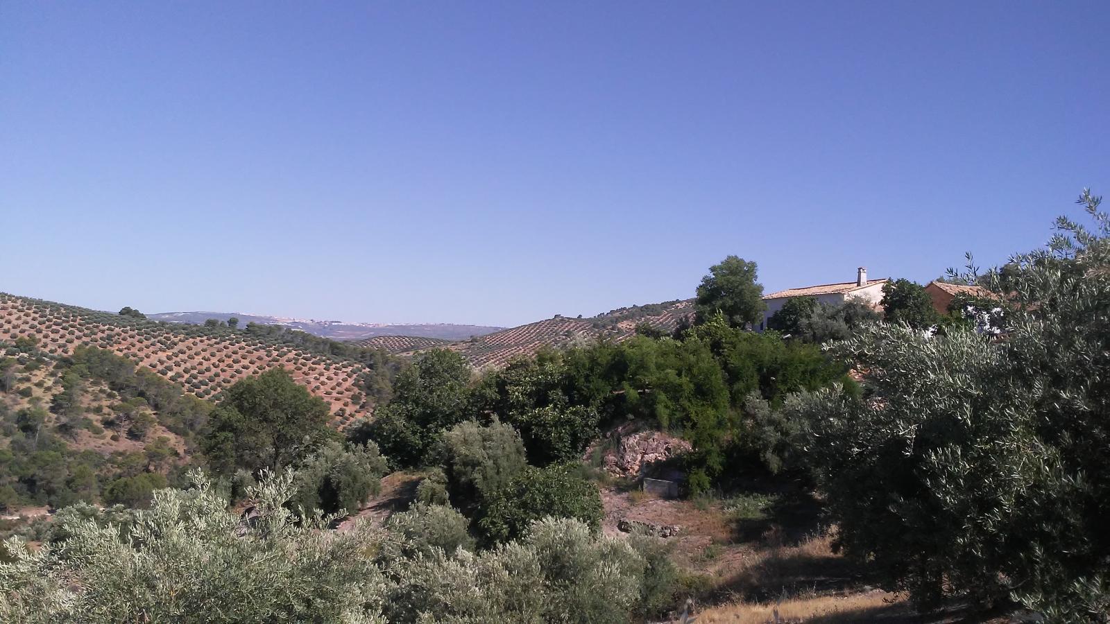 House for Sale in Villacarrillo