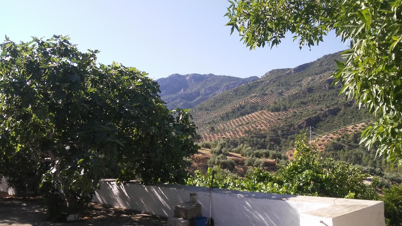 House for Sale in Villacarrillo