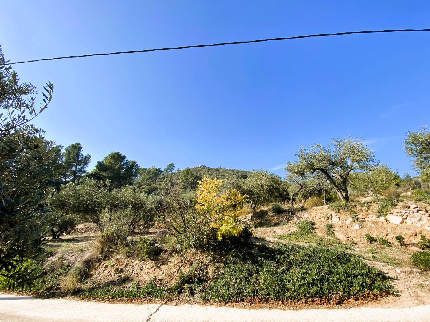 Finca en Venta en Les Borges del Camp