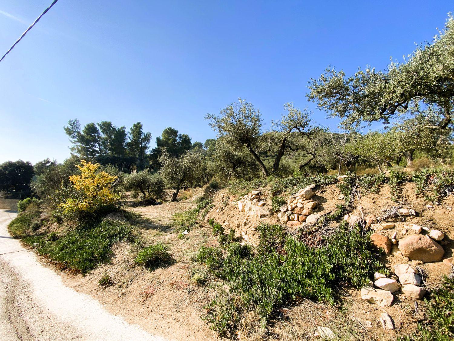 Finca en Venta en Les Borges del Camp