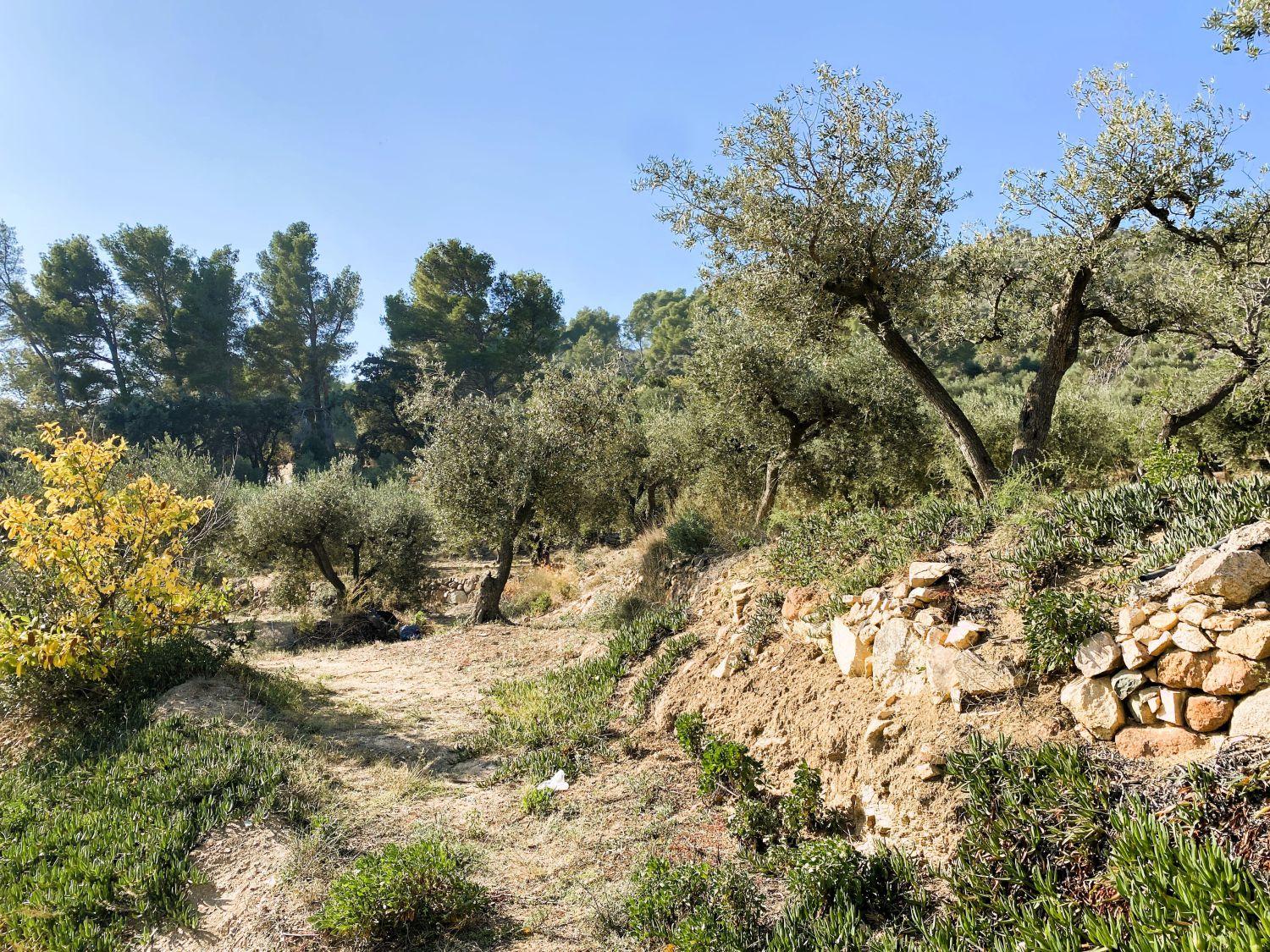 Finca en Venta en Les Borges del Camp