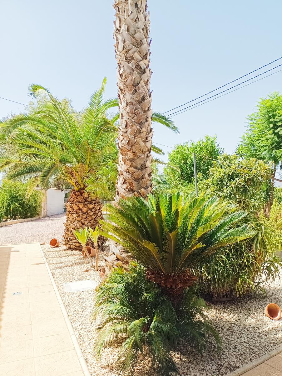 Villa en Venta en Catral