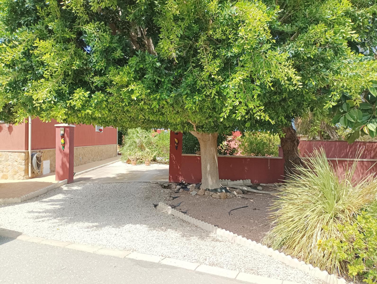 Villa en Venta en Catral