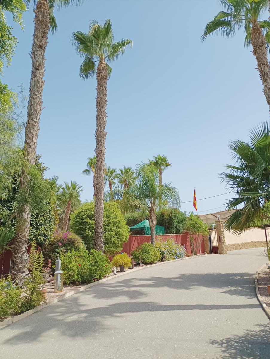 Villa en Venta en Catral
