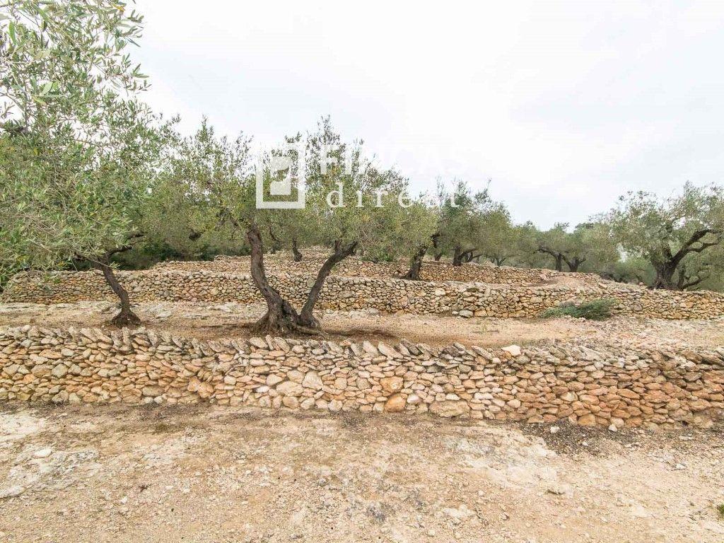 Finca en Venta en Tortosa