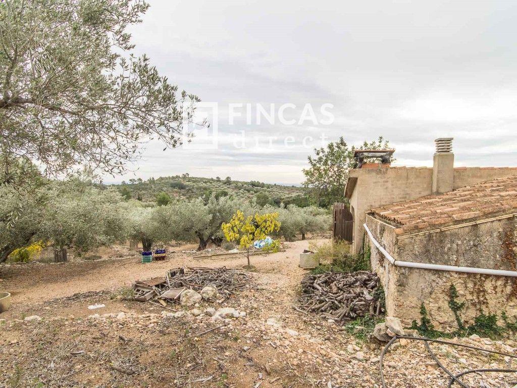 Finca en Venta en Tortosa
