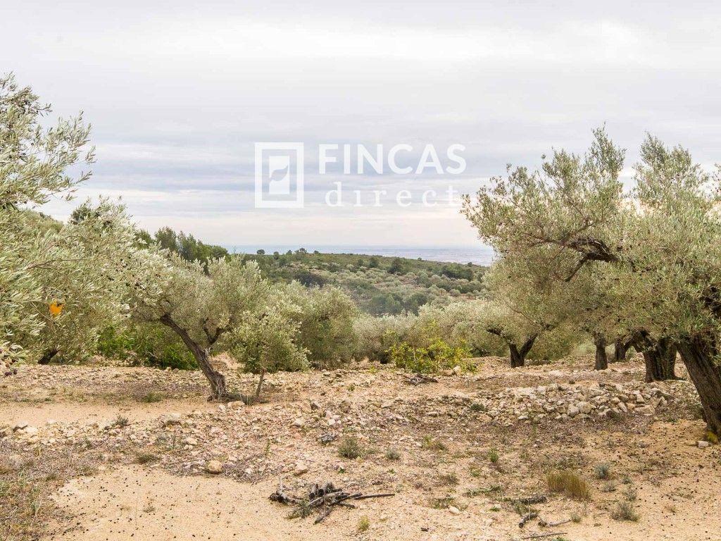 Finca en Venta en Tortosa