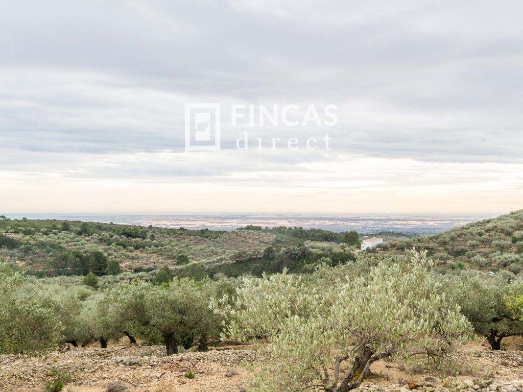 Finca en Venta en Tortosa