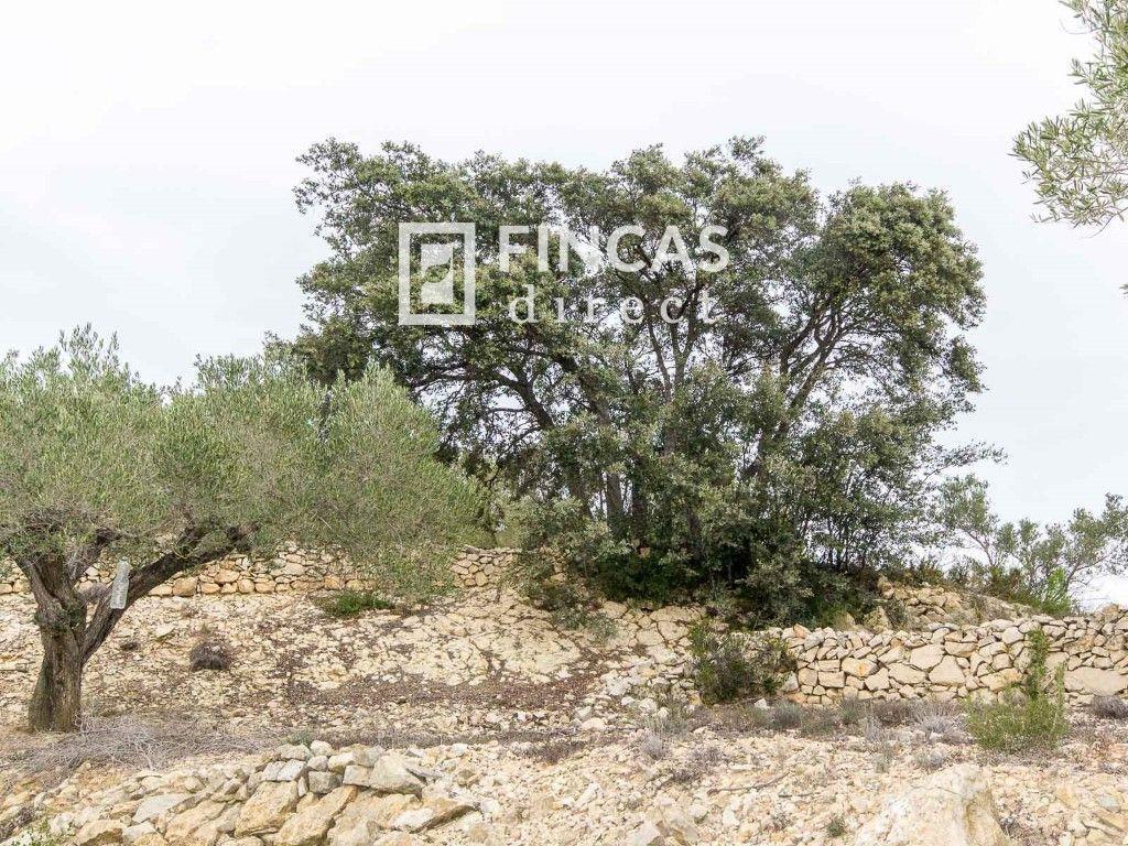 Finca en Venta en Tortosa