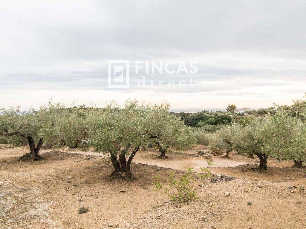 Finca en Venta en Tortosa