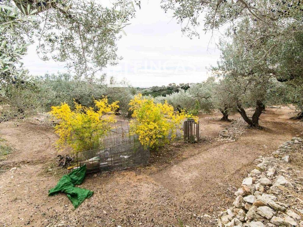 Finca en Venta en Tortosa