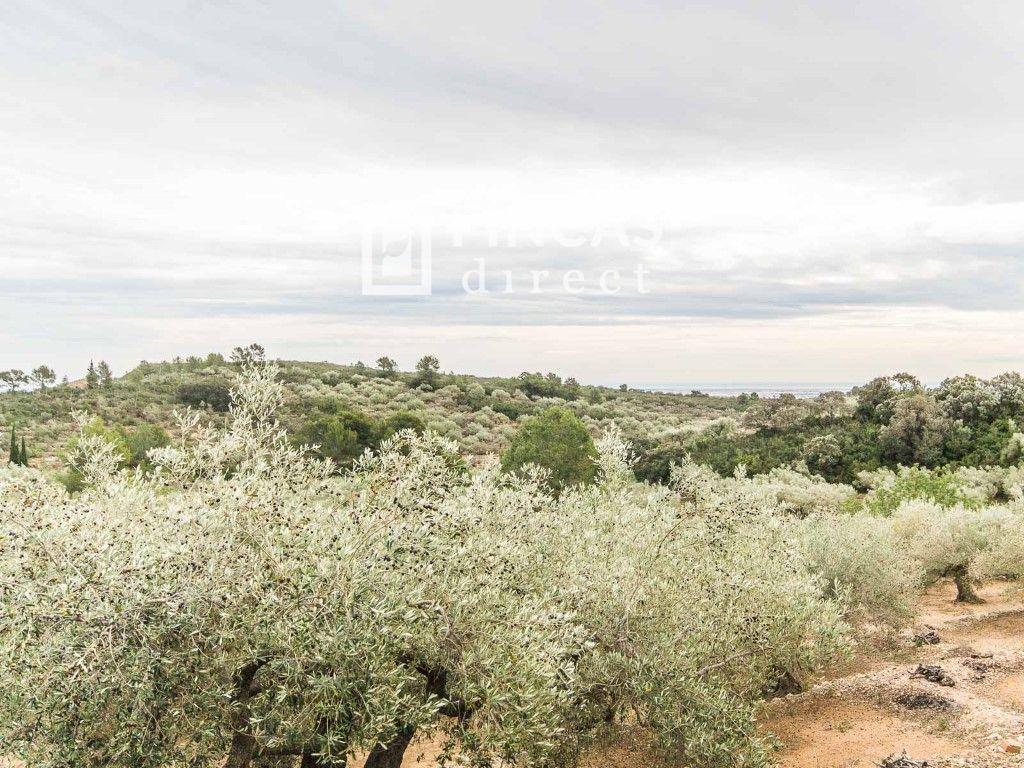 Finca en Venta en Tortosa