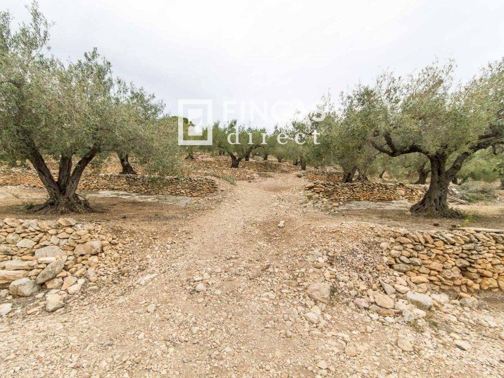 Finca en Venta en Tortosa