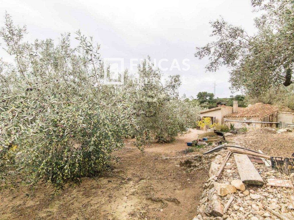 Finca en Venta en Tortosa