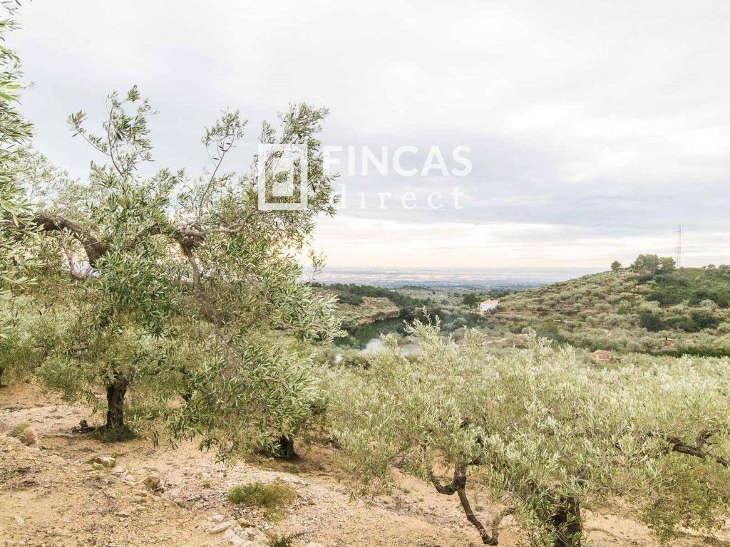 Finca en Venta en Tortosa