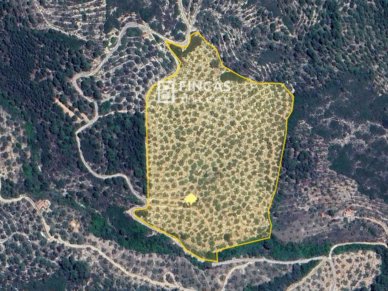 Finca en Venta en Tortosa