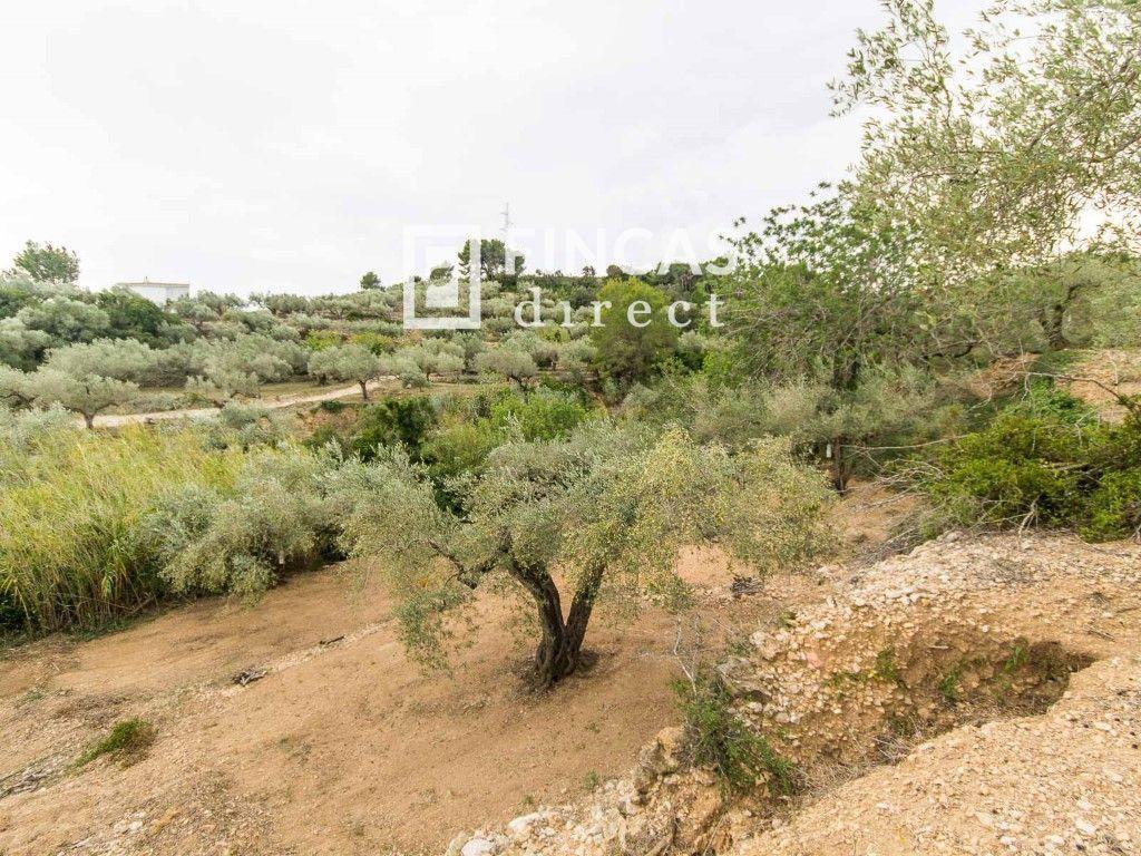 Finca en Venta en Tortosa