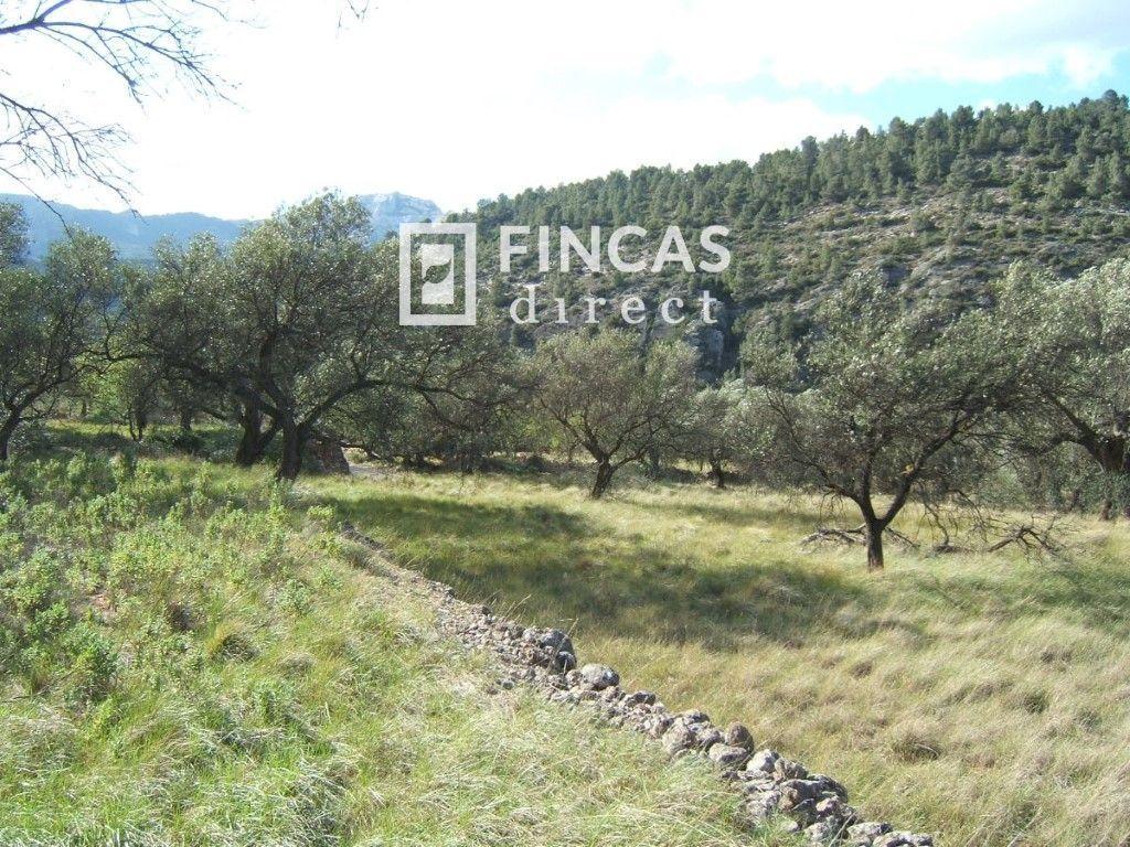 Plot for Sale in Paüls