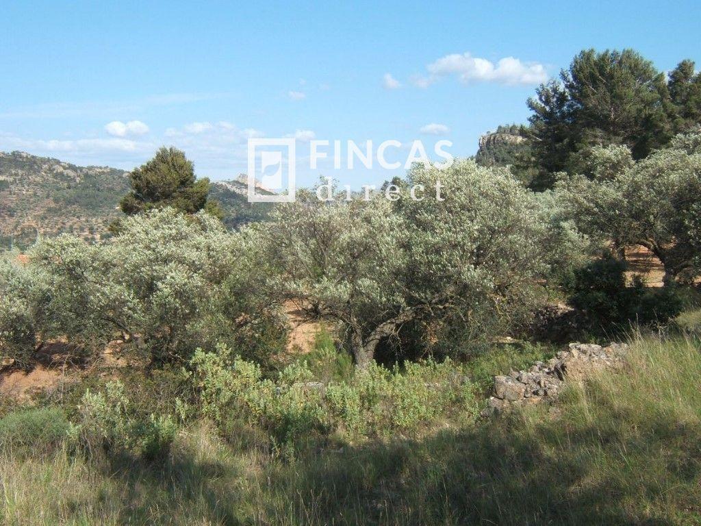 Plot for Sale in Paüls