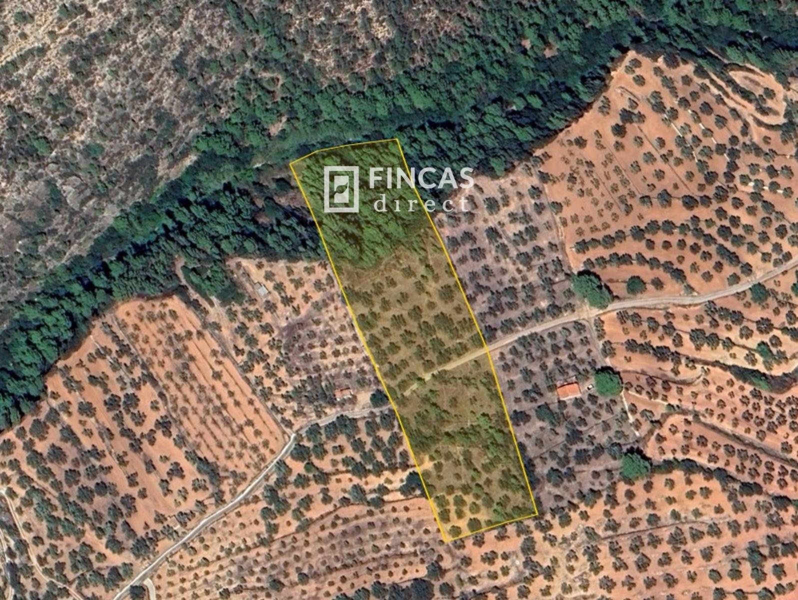Plot for Sale in Paüls