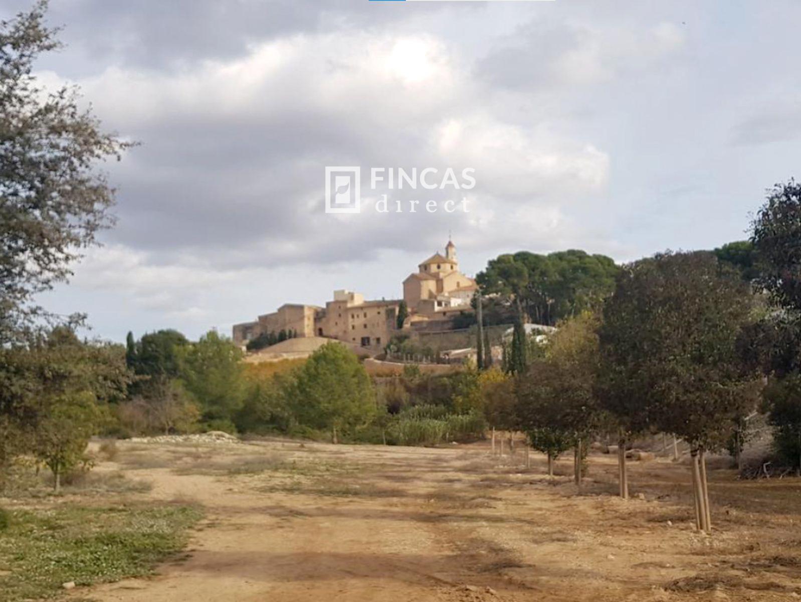 House for Sale in Puigpelat