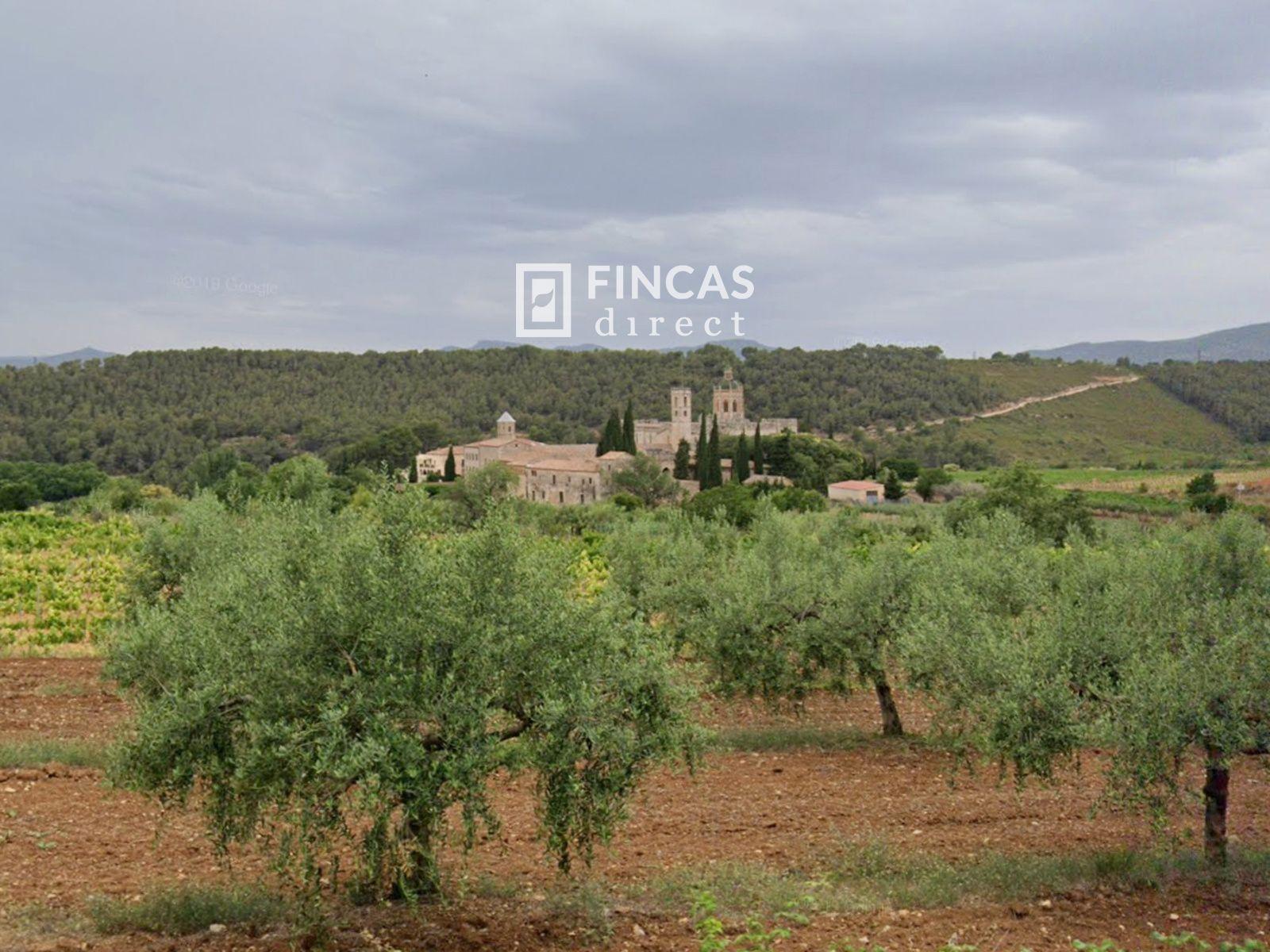 House for Sale in Puigpelat