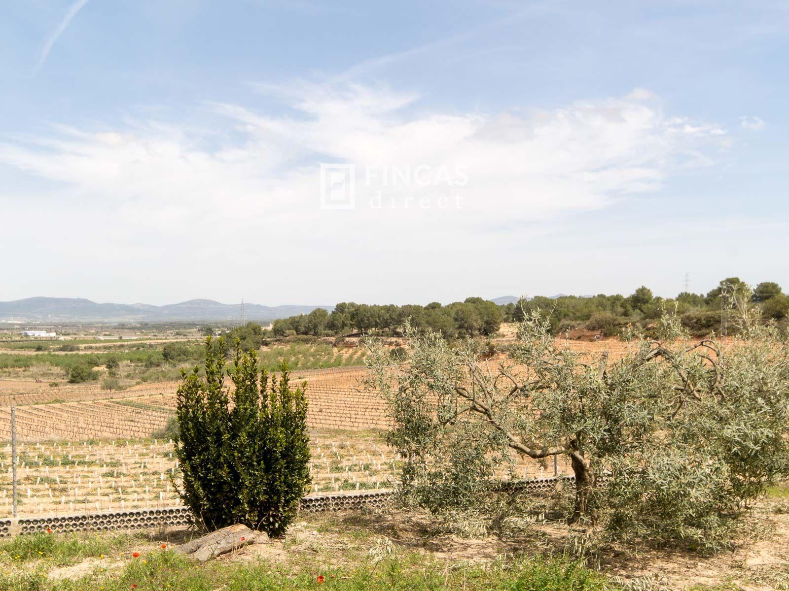 House for Sale in Puigpelat