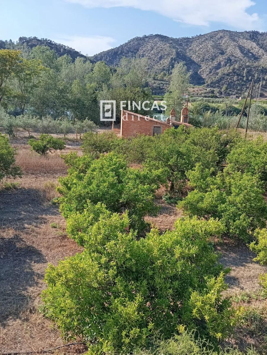 Parcela en Venta en Benifallet
