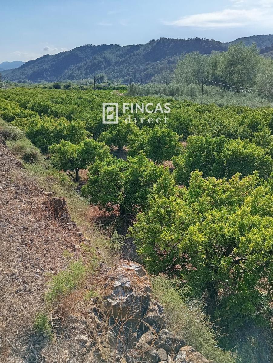 Parcela en Venta en Benifallet