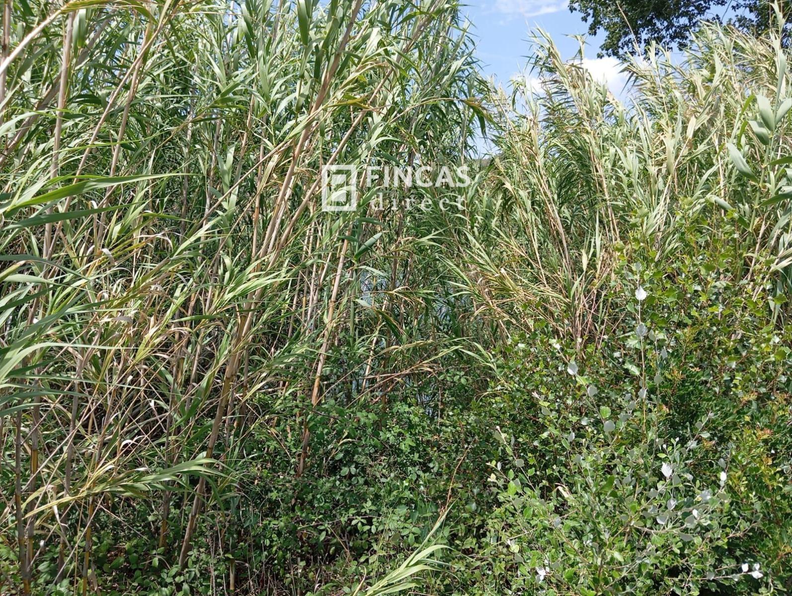 Parcela en Venta en Benifallet