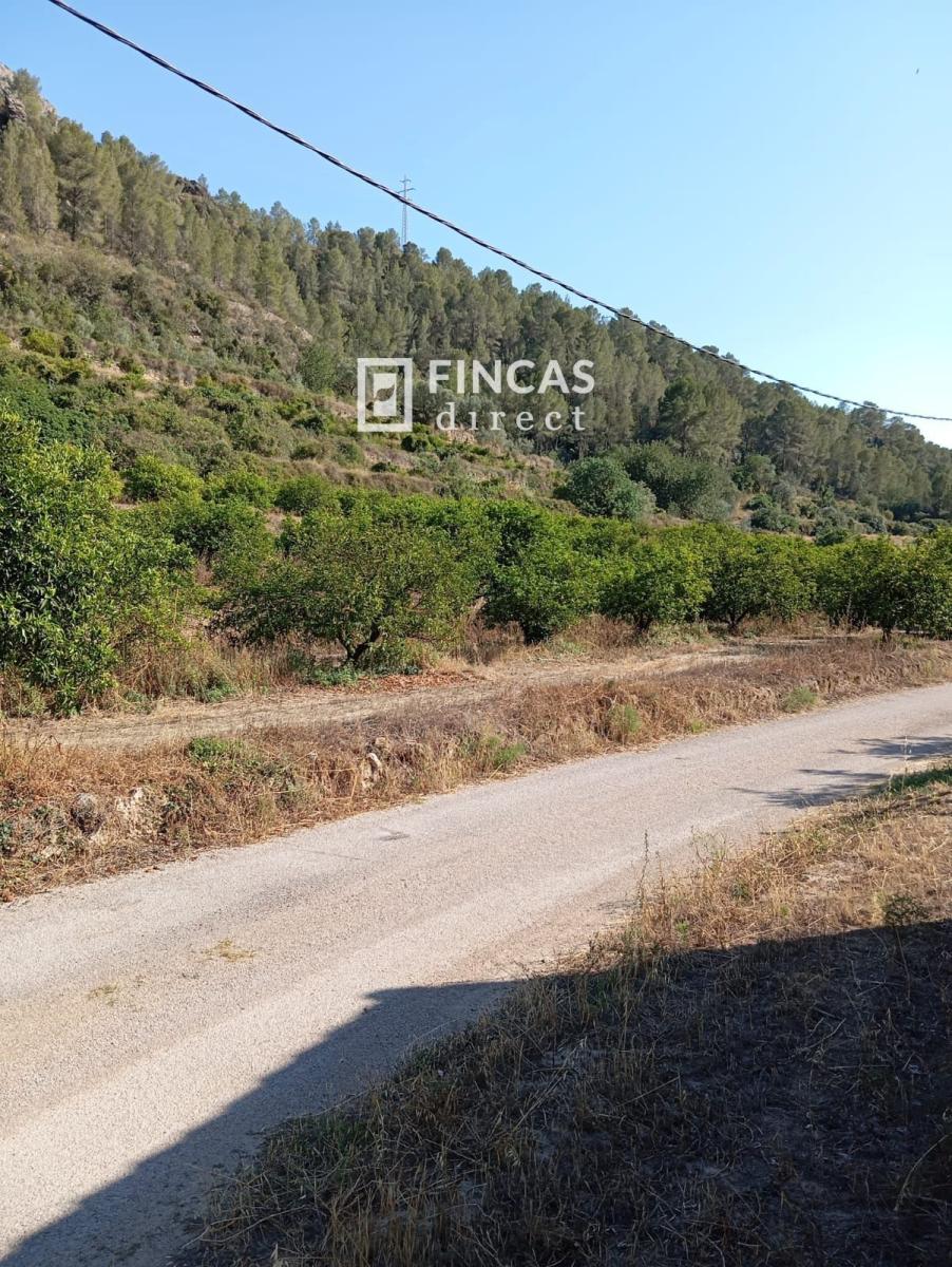 Parcela en Venta en Benifallet