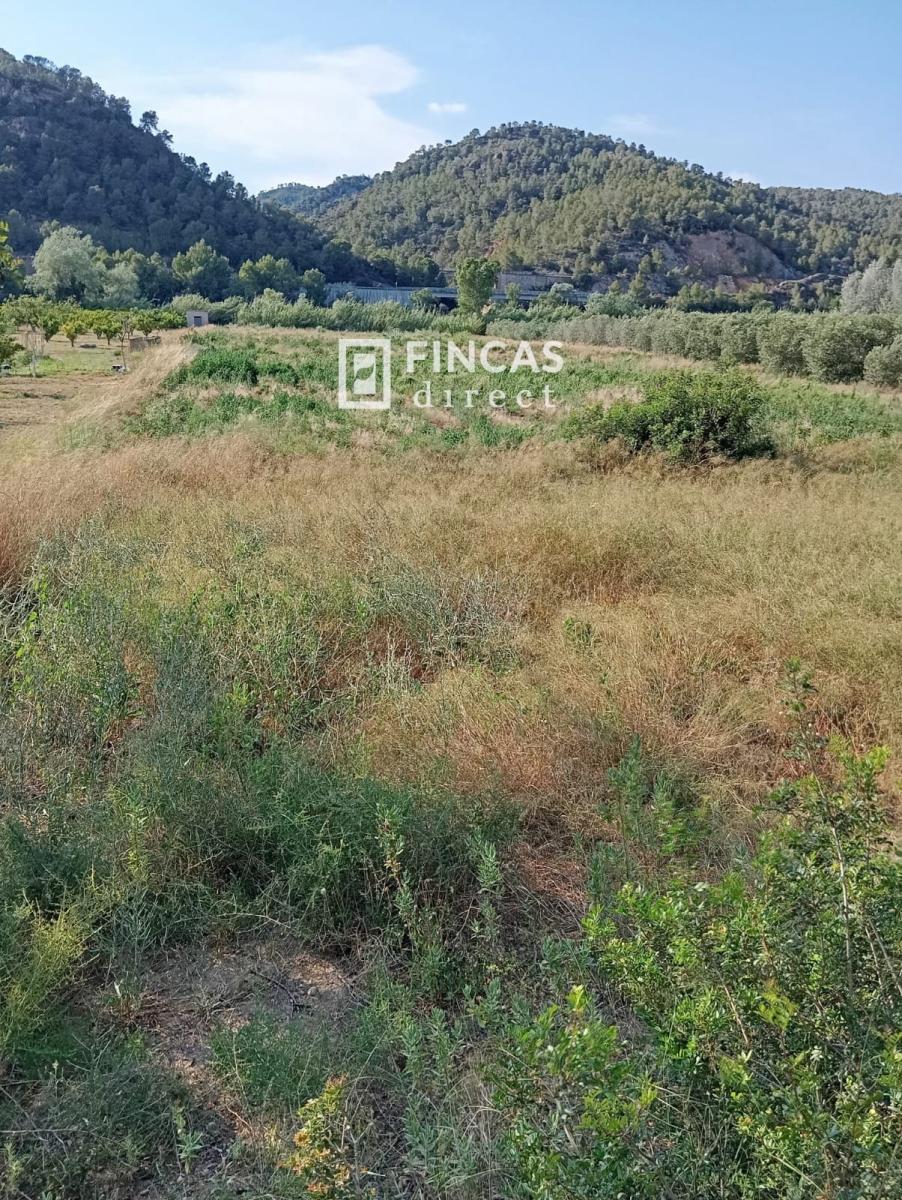Parcela en Venta en Benifallet
