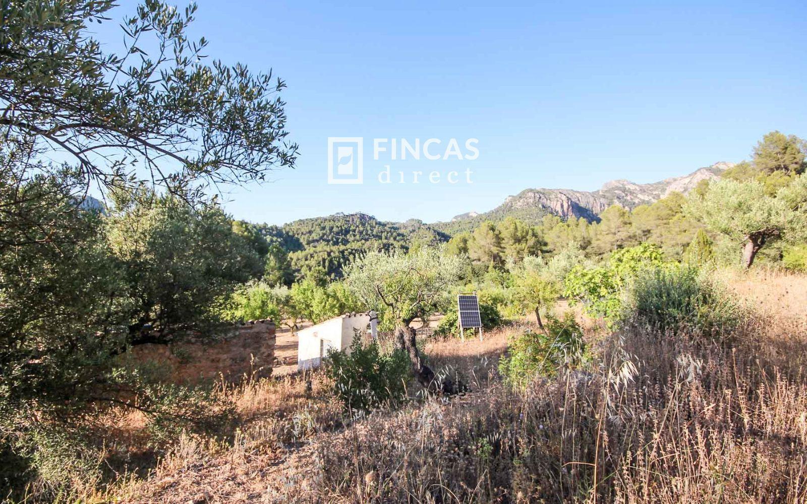 House for Sale in Benifallet