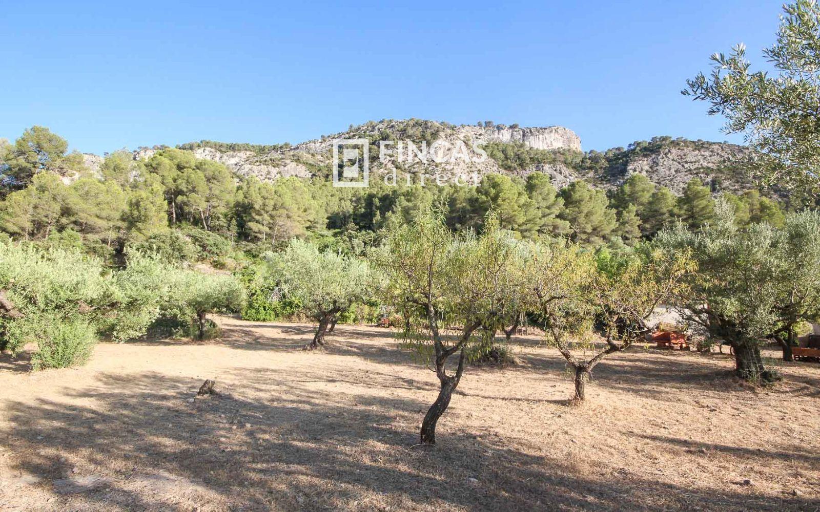 House for Sale in Benifallet