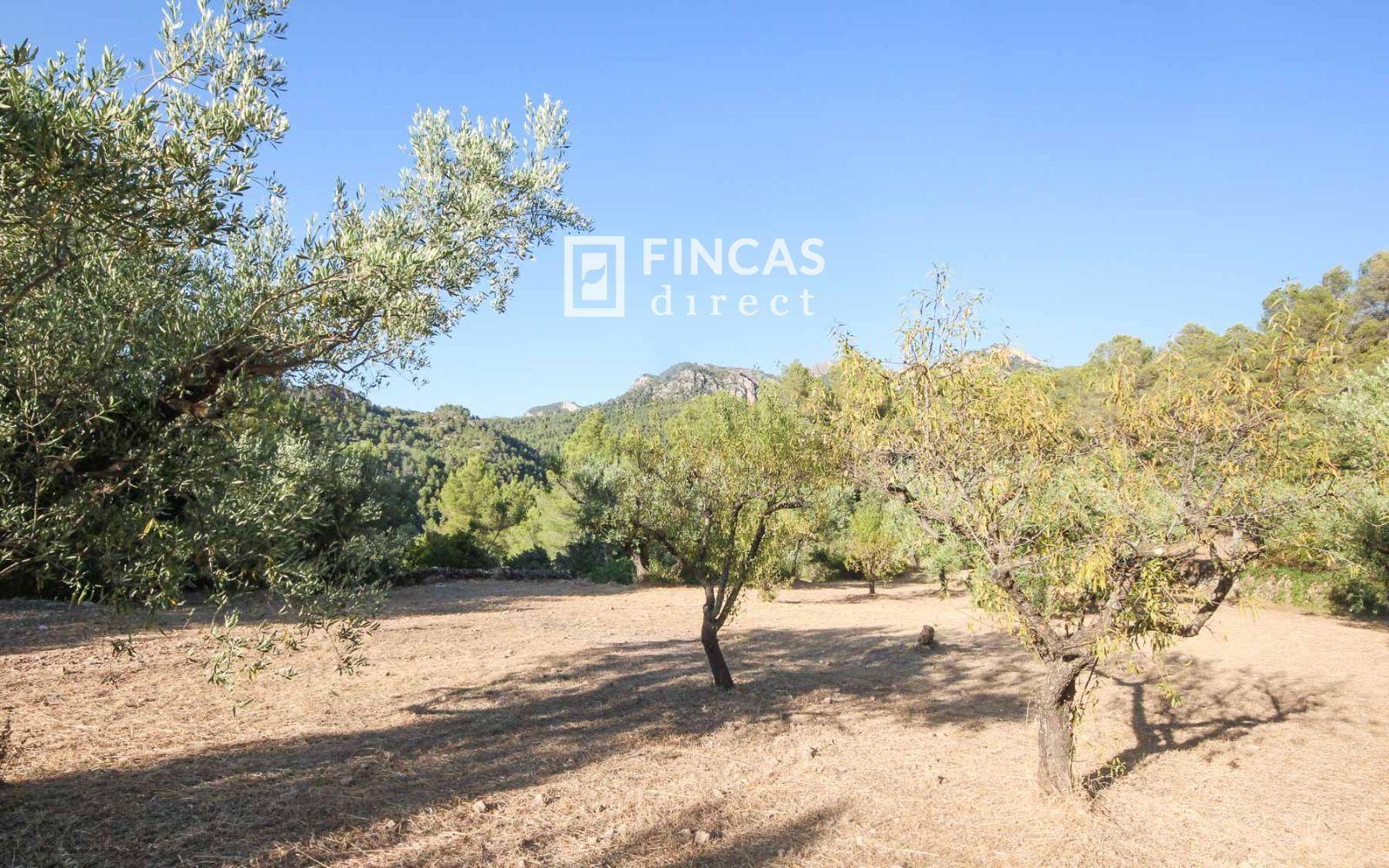 House for Sale in Benifallet