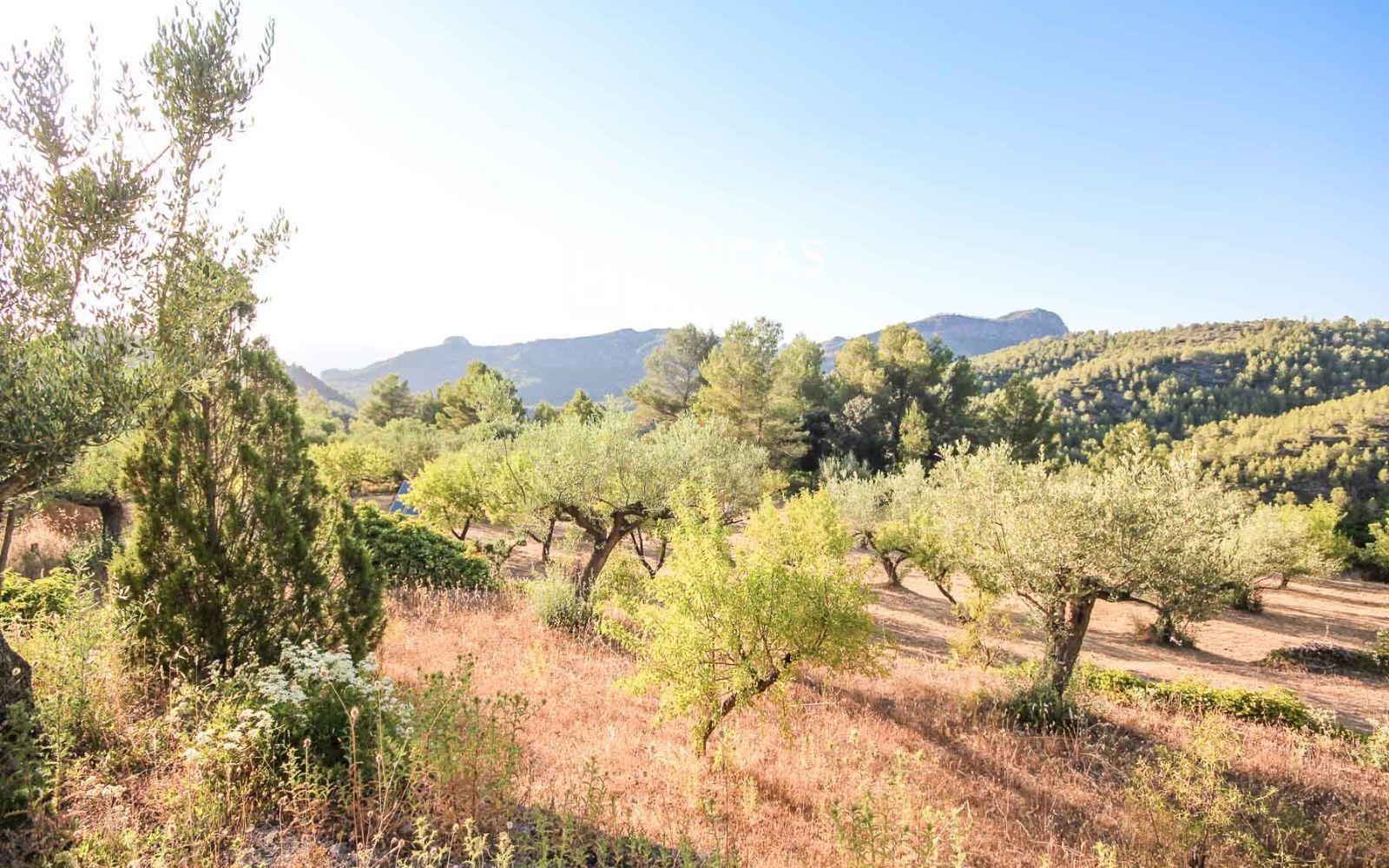 House for Sale in Benifallet