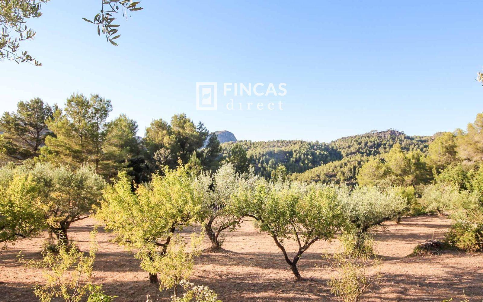 House for Sale in Benifallet