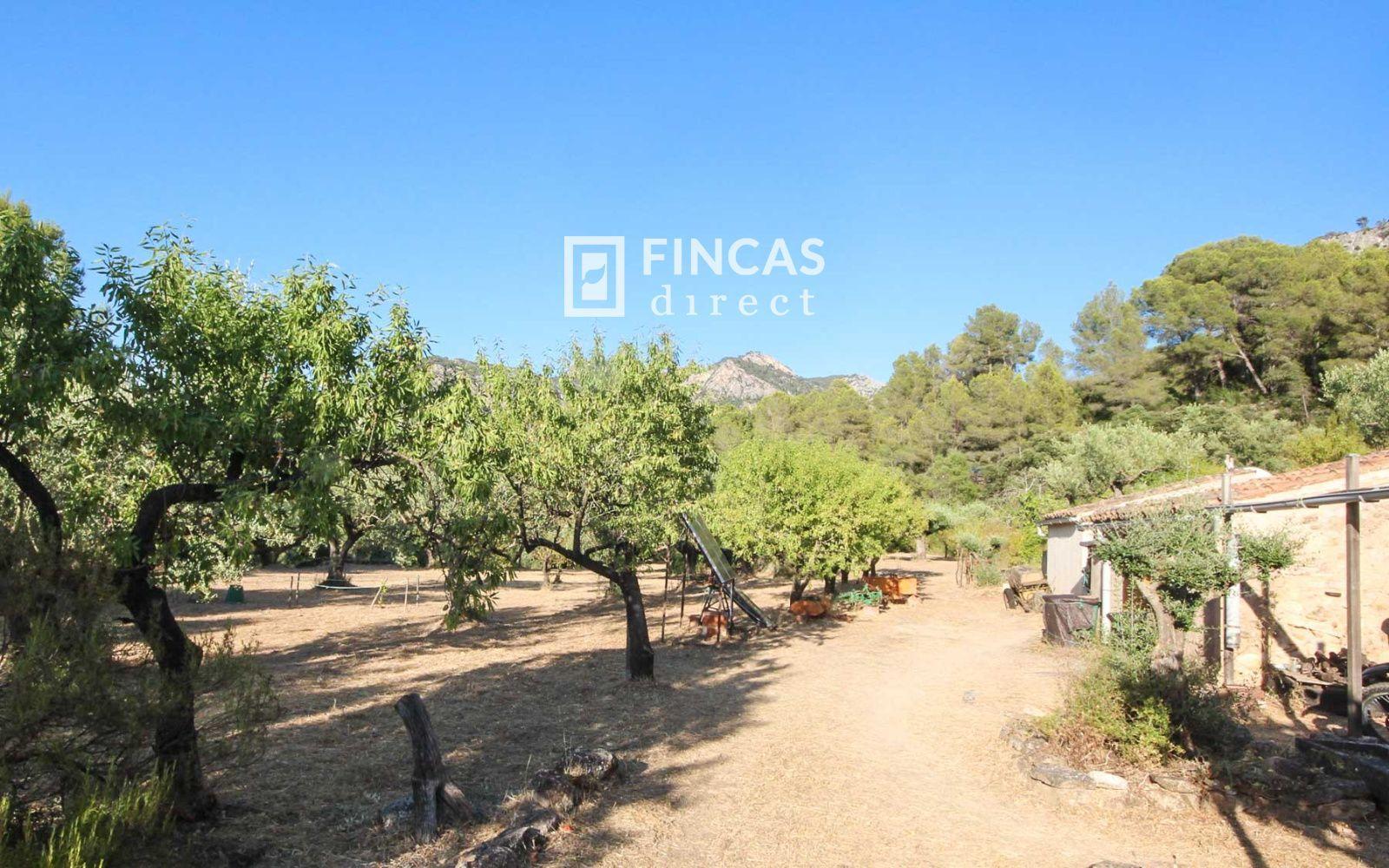 House for Sale in Benifallet
