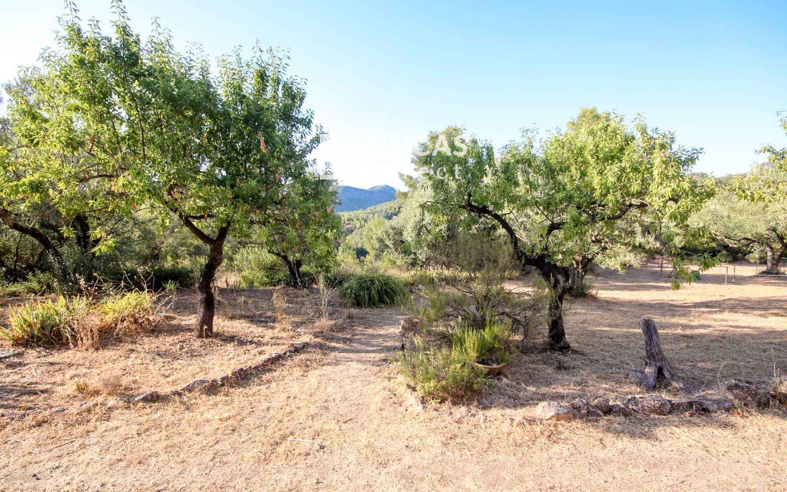 House for Sale in Benifallet