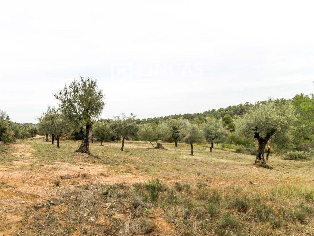 House for Sale in Cretas
