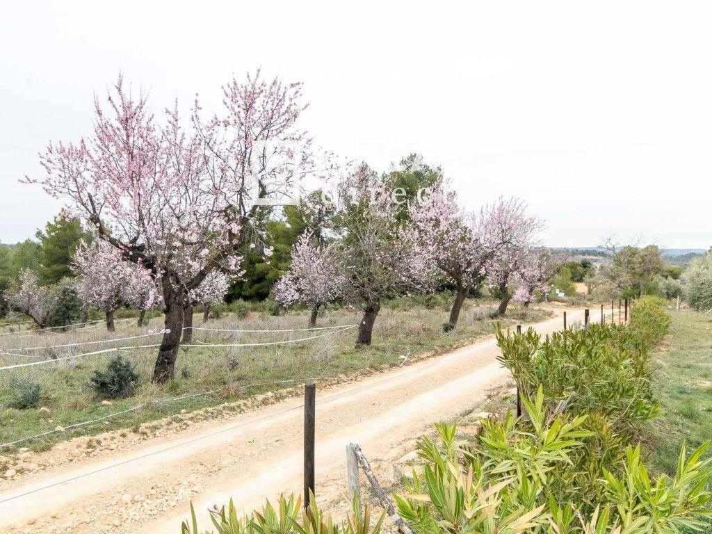 House for Sale in Cretas