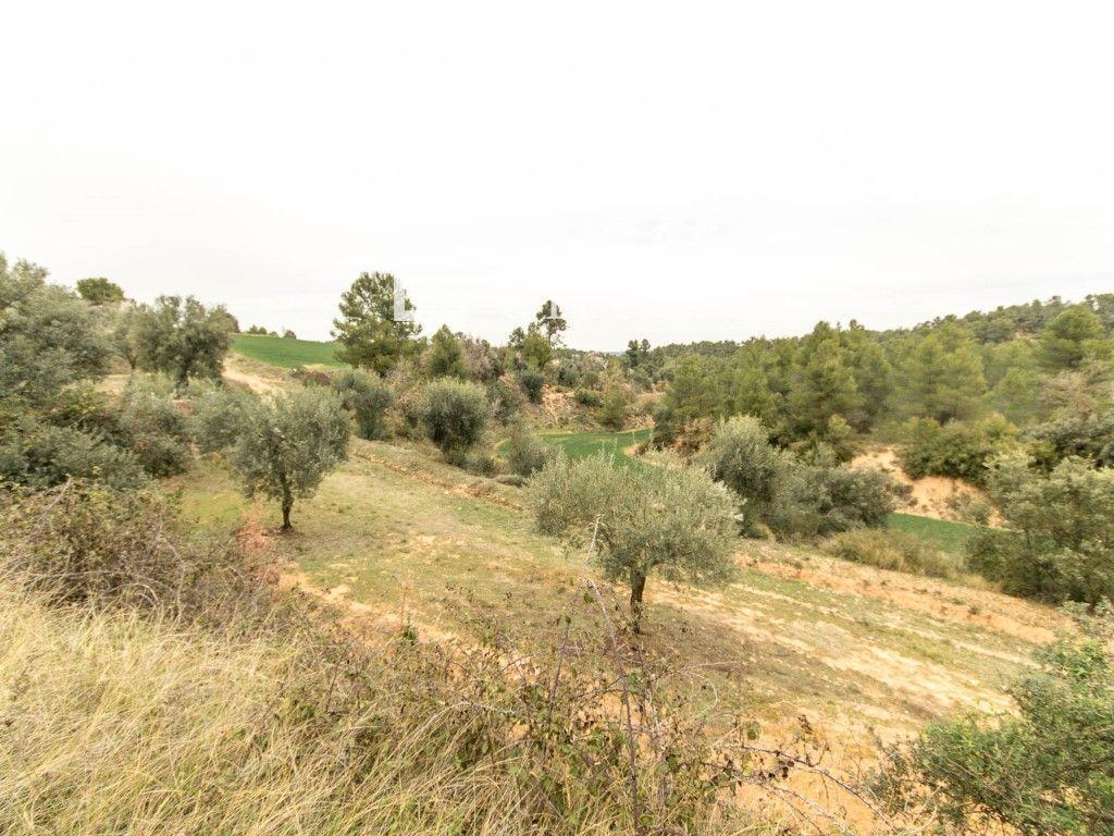 House for Sale in Cretas